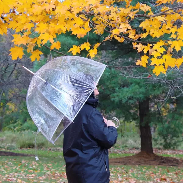 Totes Adults and Kids Clear Bubble Umbrella with Dome Canopy, Lightweight Design, Wind and Rain Protection Umbrella