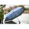 imagetotes Reverse Close Folding Inbrella with Auto Open Close and Compact Windproof Design BlackFlower Garden