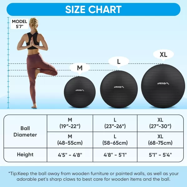 APEXUP Yoga Ball Exercise Ball Anti Slip Stability Ball Chair Heavy Duty Large Gym Ball for Fitness Balance Core Workout and Physical TherapyBlack