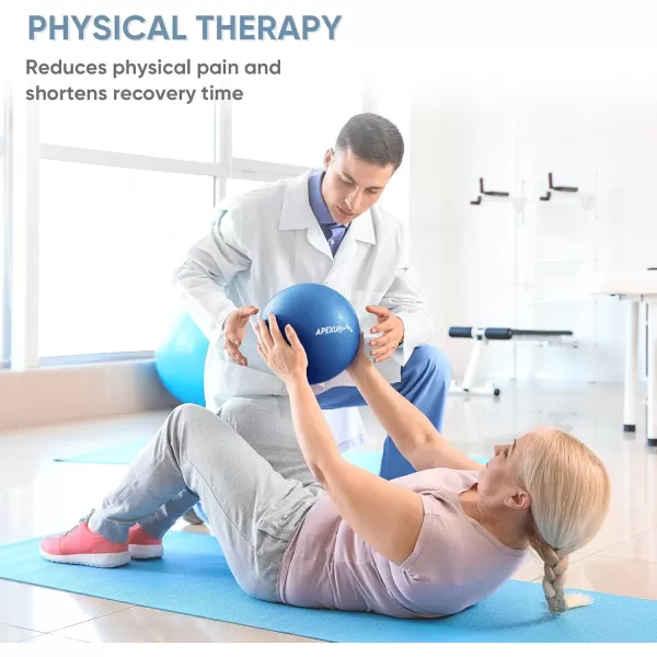 APEXUP Pilates Ball 9 Inch Small Exercise Ball Mini Core Ball Yoga Ball for Pilates Stability Workout Core Training Fitness Barre Physical Therapy BalanceBlue
