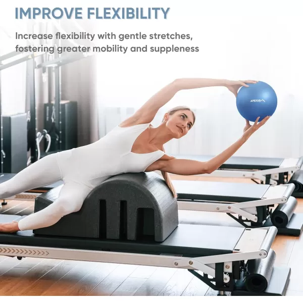 APEXUP Pilates Ball 9 Inch Small Exercise Ball Mini Core Ball Yoga Ball for Pilates Stability Workout Core Training Fitness Barre Physical Therapy BalanceBlue