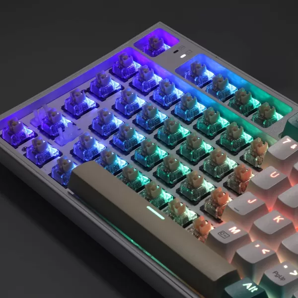 Redragon A113 HP2 Panda Crystal Mechanical Keyboard Switches Clear Lubed Tactile Switches for Keyboard DIY 3pin 60gf RGB MX Compatible Switches with Puller38 pcsPanda