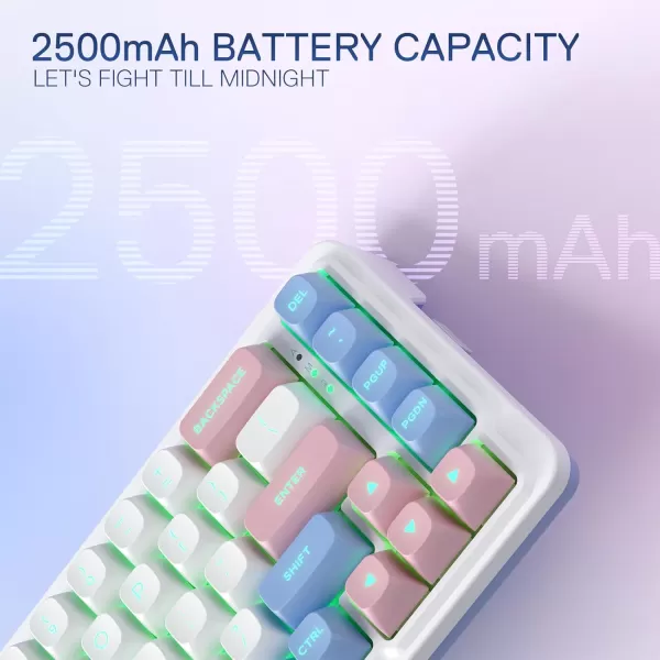 Redragon K709 PRO 65 Wireless Gasket RGB Gaming Keyboard 68 Keys HotSwap Compact Mechanical Keyboard wFreeMod Socket 5Layer Noise Dampening ampamp Round PBT Keycaps Quiet Custom Linear SwitchWonder Pink  Blue