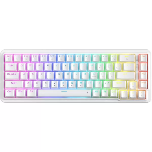 Redragon K709 PRO 65 Wireless Gasket RGB Gaming Keyboard 68 Keys HotSwap Compact Mechanical Keyboard wFreeMod Socket 5Layer Noise Dampening ampamp Round PBT Keycaps Quiet Custom Linear SwitchEssential White