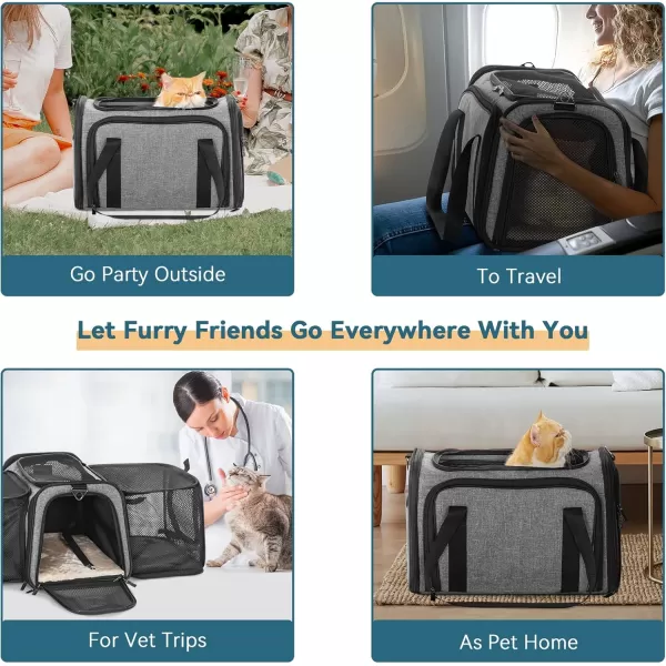 Petsfit Top Load Expandable Dog Carrier for Small Dog Medium Cat Or 2 Small Cats with Comfy Pad Escape Proof Easy Storage Washable Fit for Vet Visit and Outdoor 19quotX12quot X12quot GreenGray