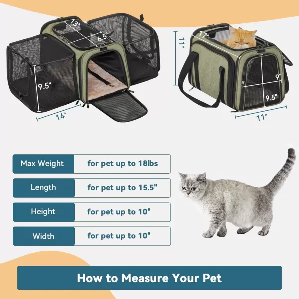 Petsfit Top Load Expandable Dog Carrier for Small Dog Medium Cat Or 2 Small Cats with Comfy Pad Escape Proof Easy Storage Washable Fit for Vet Visit and Outdoor 19quotX12quot X12quot GreenGreen