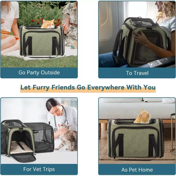 Petsfit Top Load Expandable Dog Carrier for Small Dog Medium Cat Or 2 Small Cats with Comfy Pad Escape Proof Easy Storage Washable Fit for Vet Visit and Outdoor 19quotX12quot X12quot GreenGreen