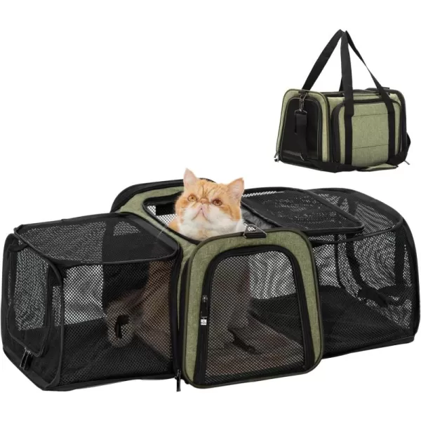 Petsfit Top Load Expandable Dog Carrier for Small Dog Medium Cat Or 2 Small Cats with Comfy Pad Escape Proof Easy Storage Washable Fit for Vet Visit and Outdoor 19quotX12quot X12quot GreenGreen