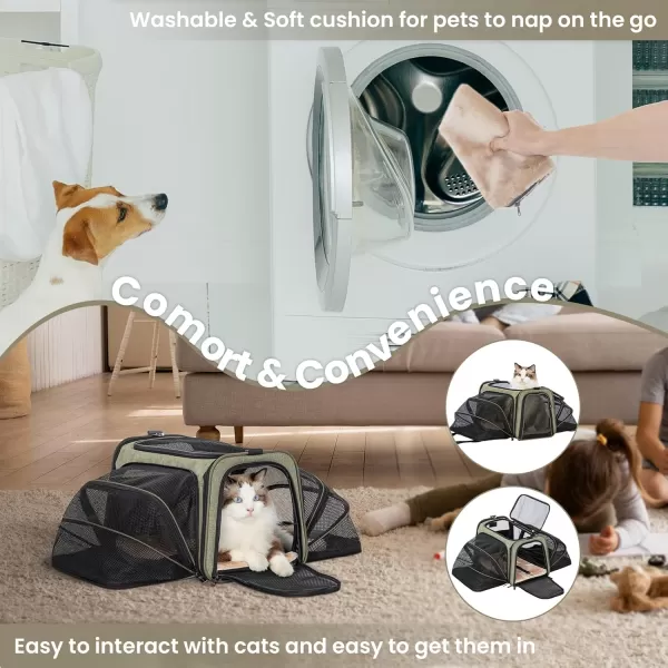 Petsfit 2 Side Expandable Pet Carrier Dog Carrier Cat Carrier for 2 Cats 19quot Lx 12quot Wx 12quot H with Soft Cushion Builtin Safety Rope Pockets Fit for Car TravelGreen