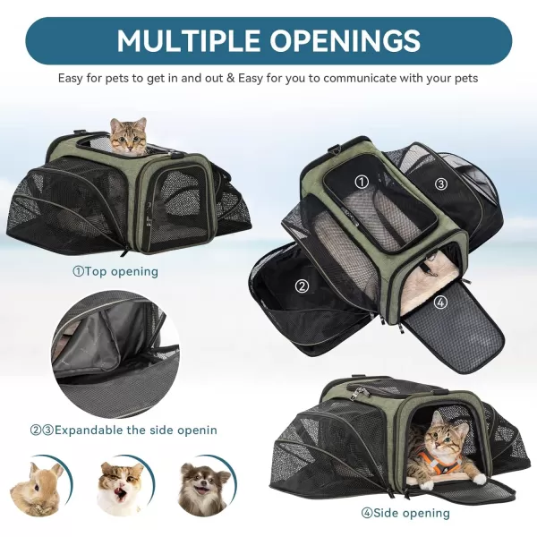 Petsfit 2 Side Expandable Pet Carrier Dog Carrier Cat Carrier for 2 Cats 19quot Lx 12quot Wx 12quot H with Soft Cushion Builtin Safety Rope Pockets Fit for Car TravelGreen