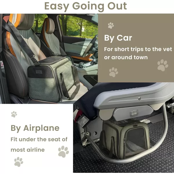 Petsfit 2 Side Expandable Pet Carrier Dog Carrier Cat Carrier for 2 Cats 19quot Lx 12quot Wx 12quot H with Soft Cushion Builtin Safety Rope Pockets Fit for Car TravelGreen