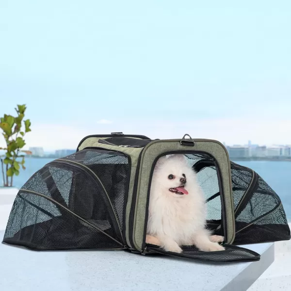 Petsfit 2 Side Expandable Pet Carrier Dog Carrier Cat Carrier for 2 Cats 19quot Lx 12quot Wx 12quot H with Soft Cushion Builtin Safety Rope Pockets Fit for Car TravelGreen