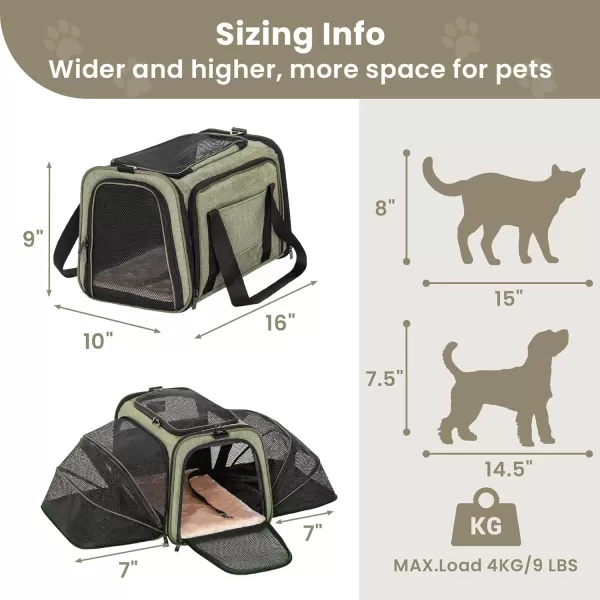 Petsfit 2 Side Expandable Pet Carrier Dog Carrier Cat Carrier for 2 Cats 19quot Lx 12quot Wx 12quot H with Soft Cushion Builtin Safety Rope Pockets Fit for Car TravelGreen