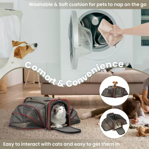 Petsfit 2 Side Expandable Pet Carrier Dog Carrier Cat Carrier for 2 Cats 19quot Lx 12quot Wx 12quot H with Soft Cushion Builtin Safety Rope Pockets Fit for Car TravelGray Brown