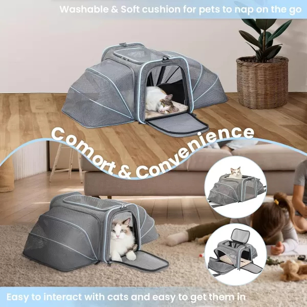 Petsfit Expandable Rabbit Carrier Bunny Carriers 16 Inch Airline Approved Pet Carrier with 2 Extensions Soft Washable Cushion SelfLocking Zipper Head Builtin Safety Rope Fit for TravelLight Grey