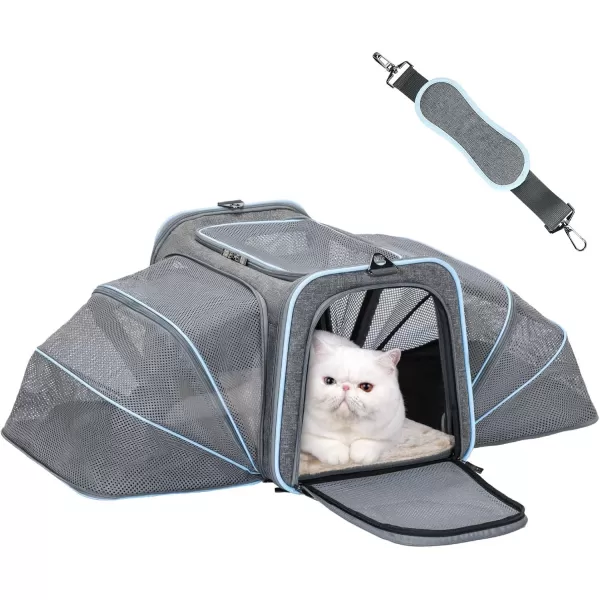 Petsfit Expandable Rabbit Carrier Bunny Carriers 16 Inch Airline Approved Pet Carrier with 2 Extensions Soft Washable Cushion SelfLocking Zipper Head Builtin Safety Rope Fit for TravelLight Grey