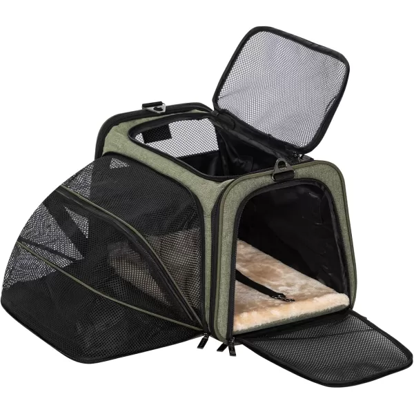 Petsfit Expandable Rabbit Carrier Small Cat Carrier Airline Approved 16X10X9 Inches SoftSided Portable Small Animal Travel Bag for KittenPuppyBunnyGuinea PigGreen