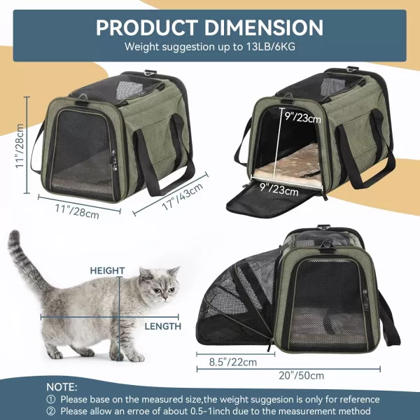 Petsfit Expandable Rabbit Carrier Small Cat Carrier Airline Approved 16X10X9 Inches SoftSided Portable Small Animal Travel Bag for KittenPuppyBunnyGuinea PigGreen