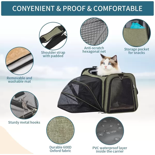 Petsfit Expandable Rabbit Carrier Small Cat Carrier Airline Approved 16X10X9 Inches SoftSided Portable Small Animal Travel Bag for KittenPuppyBunnyGuinea PigGreen