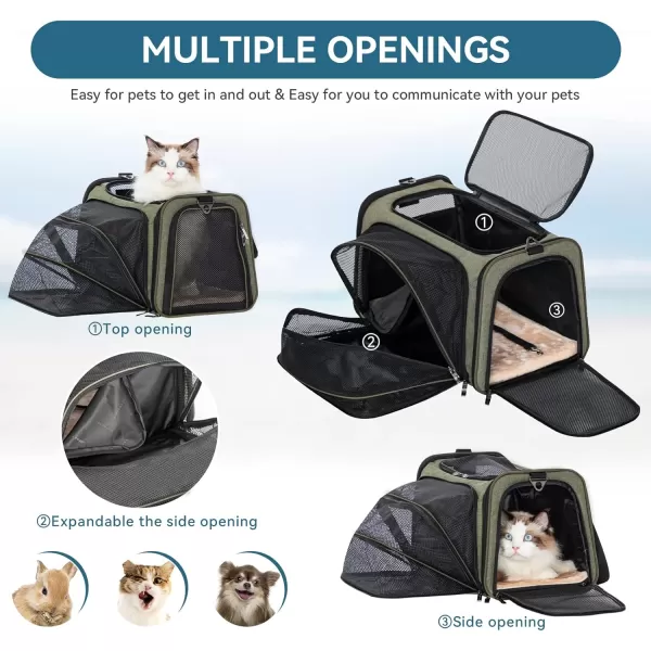 Petsfit Expandable Rabbit Carrier Small Cat Carrier Airline Approved 16X10X9 Inches SoftSided Portable Small Animal Travel Bag for KittenPuppyBunnyGuinea PigGreen