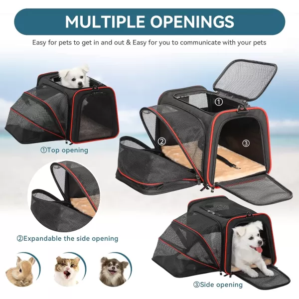 Petsfit Expandable Rabbit Carrier Small Cat Carrier Airline Approved 16X10X9 Inches SoftSided Portable Small Animal Travel Bag for KittenPuppyBunnyGuinea PigBlack