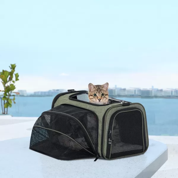 Petsfit Expandable Rabbit Carrier Small Cat Carrier Airline Approved 16X10X9 Inches SoftSided Portable Small Animal Travel Bag for KittenPuppyBunnyGuinea PigGreen