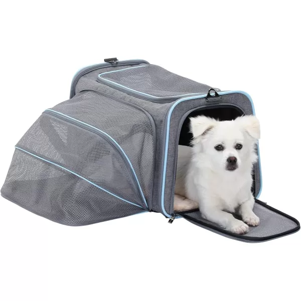 Petsfit Expandable Rabbit Carrier Small Cat Carrier Airline Approved 16X10X9 Inches SoftSided Portable Small Animal Travel Bag for KittenPuppyBunnyGuinea PigLight Gray