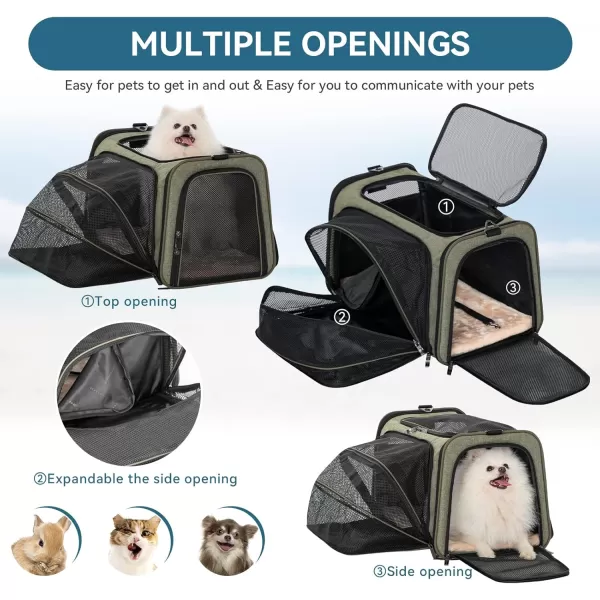 Petsfit Expandable Rabbit Carrier Small Cat Carrier Airline Approved 16X10X9 Inches SoftSided Portable Small Animal Travel Bag for KittenPuppyBunnyGuinea PigGreen