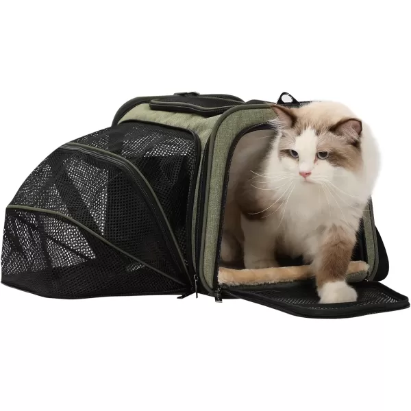 Petsfit Expandable Rabbit Carrier Small Cat Carrier Airline Approved 16X10X9 Inches SoftSided Portable Small Animal Travel Bag for KittenPuppyBunnyGuinea PigGreen