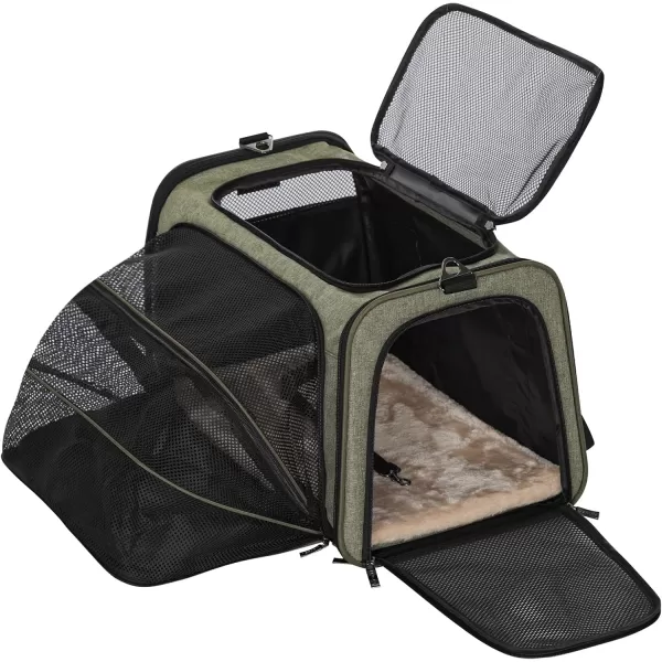 Petsfit Expandable Rabbit Carrier Small Cat Carrier Airline Approved 16X10X9 Inches SoftSided Portable Small Animal Travel Bag for KittenPuppyBunnyGuinea PigGreen