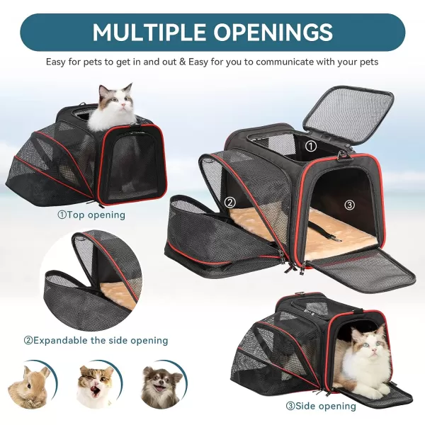 Petsfit Expandable Rabbit Carrier Small Cat Carrier Airline Approved 16X10X9 Inches SoftSided Portable Small Animal Travel Bag for KittenPuppyBunnyGuinea PigBlack