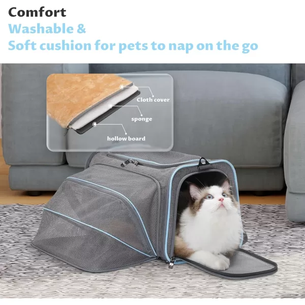 Petsfit Expandable Rabbit Carrier Small Cat Carrier Airline Approved 16X10X9 Inches SoftSided Portable Small Animal Travel Bag for KittenPuppyBunnyGuinea PigLight Gray