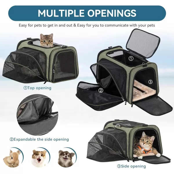 Petsfit Expandable Rabbit Carrier Small Cat Carrier Airline Approved 16X10X9 Inches SoftSided Portable Small Animal Travel Bag for KittenPuppyBunnyGuinea PigGreen