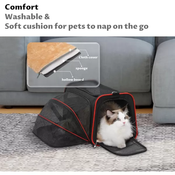 Petsfit Expandable Rabbit Carrier Small Cat Carrier Airline Approved 16X10X9 Inches SoftSided Portable Small Animal Travel Bag for KittenPuppyBunnyGuinea PigBlack