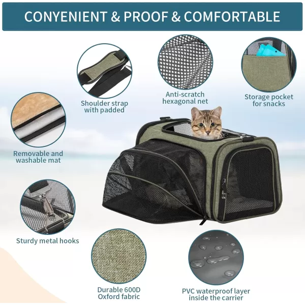 Petsfit Expandable Rabbit Carrier Small Cat Carrier Airline Approved 16X10X9 Inches SoftSided Portable Small Animal Travel Bag for KittenPuppyBunnyGuinea PigGreen