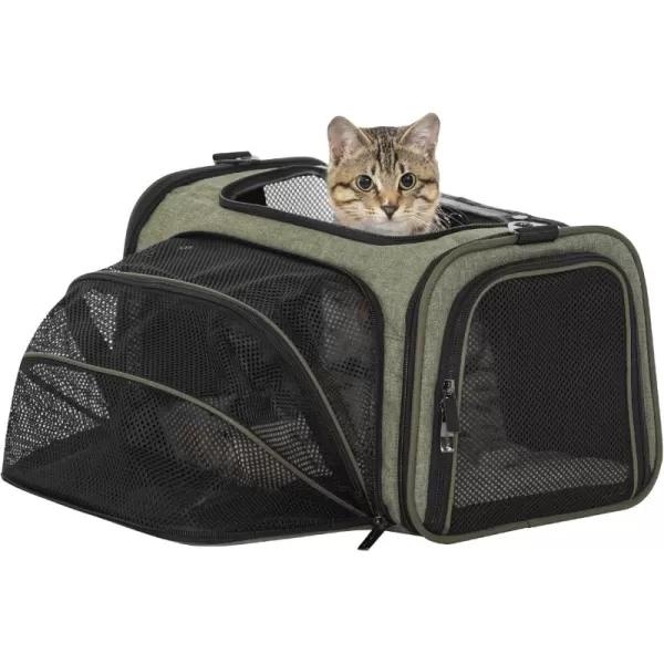 Petsfit Expandable Rabbit Carrier Small Cat Carrier Airline Approved 16X10X9 Inches SoftSided Portable Small Animal Travel Bag for KittenPuppyBunnyGuinea PigGreen