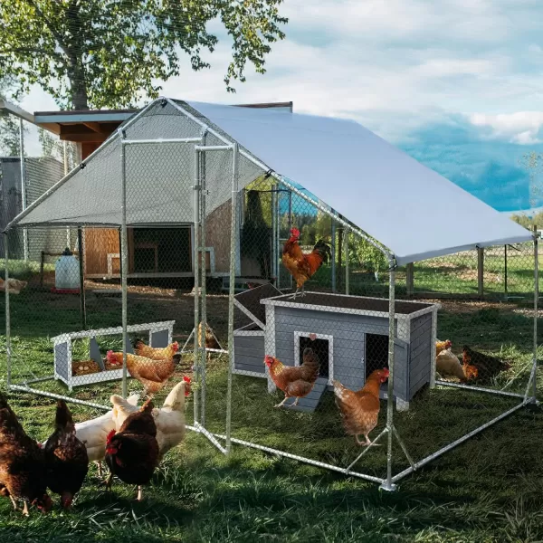 PETSFIT Metal Chicken Coop with AntiRust Durable Steel ampamp 420D AntiUltraviolet Waterproof Cover Large Walkin Poultry Cage Chicken Hen House for Outdoor Farm Use118quotx79quotx768quotSpire Room