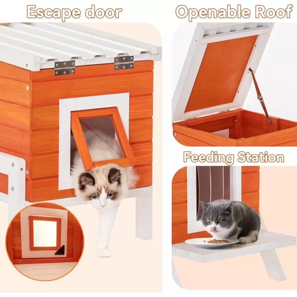 Petsfit Outdoor Cat House Weatherproof Outside Shelter for Feral Cats Rabbits Chicken Small Animal Houses ampamp Habitats Idea for Guinea Pigs Pigeons Ducks TortoisesOrangeSingle