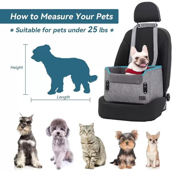 PETSFIT Dog Car Booster Seat Medium Dog Car Seat with 2 ClipOn Safety Leashes Patented Buckles Dog Booster Seat for Pets Under 45Lbs Medium BlackLight Grey