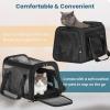 imagePETSFIT SoftSided Cat Carriers ampamp Car Seats with Patent Safe Buckles ClipOn Harness18quotx11quotx11quot Airline Approved Pet Carrier  9 lbs Capacity Cyan BlueBBlack