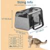 imagePETSFIT SoftSided Cat Carriers ampamp Car Seats with Patent Safe Buckles ClipOn Harness18quotx11quotx11quot Airline Approved Pet Carrier  9 lbs Capacity Cyan BlueBGray