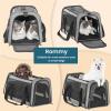 imagePETSFIT SoftSided Cat Carriers ampamp Car Seats with Patent Safe Buckles ClipOn Harness18quotx11quotx11quot Airline Approved Pet Carrier  9 lbs Capacity Cyan BlueBGray