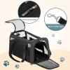 imagePETSFIT SoftSided Cat Carriers ampamp Car Seats with Patent Safe Buckles ClipOn Harness18quotx11quotx11quot Airline Approved Pet Carrier  9 lbs Capacity Cyan BlueBBlack