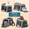 imagePETSFIT SoftSided Cat Carriers ampamp Car Seats with Patent Safe Buckles ClipOn Harness18quotx11quotx11quot Airline Approved Pet Carrier  9 lbs Capacity Cyan BlueBCyan blue