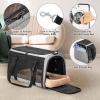 imagePETSFIT SoftSided Cat Carriers ampamp Car Seats with Patent Safe Buckles ClipOn Harness18quotx11quotx11quot Airline Approved Pet Carrier  9 lbs Capacity Cyan BlueAGray