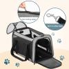 imagePETSFIT SoftSided Cat Carriers ampamp Car Seats with Patent Safe Buckles ClipOn Harness18quotx11quotx11quot Airline Approved Pet Carrier  9 lbs Capacity Cyan BlueBGray