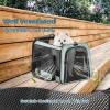 imagePETSFIT SoftSided Cat Carriers ampamp Car Seats with Patent Safe Buckles ClipOn Harness18quotx11quotx11quot Airline Approved Pet Carrier  9 lbs Capacity Cyan BlueBCyan blue