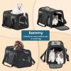 imagePETSFIT SoftSided Cat Carriers ampamp Car Seats with Patent Safe Buckles ClipOn Harness18quotx11quotx11quot Airline Approved Pet Carrier  9 lbs Capacity Cyan BlueBBlack