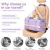 imagePETSFIT SoftSided Cat Carriers ampamp Car Seats with Patent Safe Buckles ClipOn Harness18quotx11quotx11quot Airline Approved Pet Carrier  9 lbs Capacity Cyan BlueAPurple