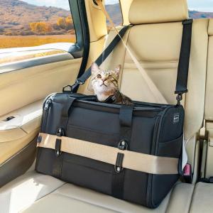 imagePETSFIT SoftSided Cat Carriers ampamp Car Seats with Patent Safe Buckles ClipOn Harness18quotx11quotx11quot Airline Approved Pet Carrier  9 lbs Capacity Cyan BlueABlack